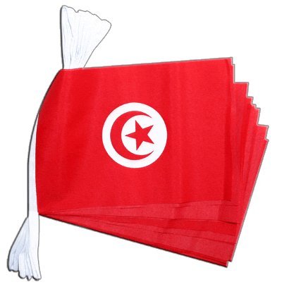 Guirlande drapeau Tunisie pour soirée thématique et match de foot