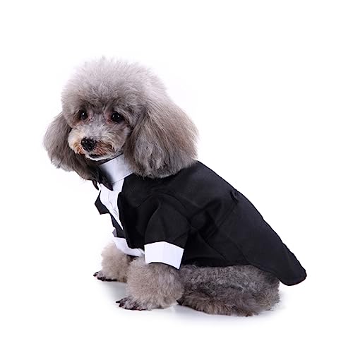 Disfraz Formal XL para Perro con Pajarita Negro