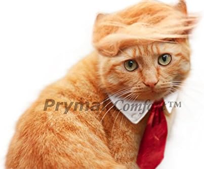 Trump Cat/Dog Costume for Halloween, Parties and Pictures