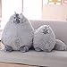 Winsterch Stuffed Animal Plushie Cat Stuffed Animal,Cute Soft Plush Cat Animals,Gray Stuffed Cat, Birthday for Kids,Boys,Girls,Fat Cat Stuffed Toy (Gray, 10 Inches)