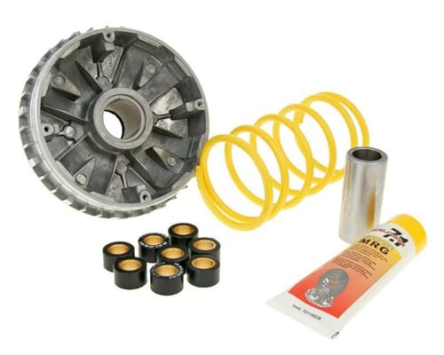 5111225 VARIATORE MALOSSI APRILIA LEONARDO 300 4T LC MULTIVAR 2000