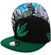 Capiche [99+ Variations] Casquette Snapback Nouvelle Collection Special Series