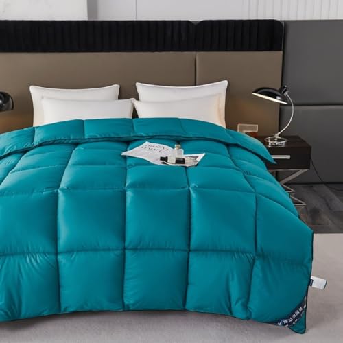 Odot Bettdecke Ohne Bezug Nutzbar Winter 150x200, Waschbare Bettdecke Ohne Bezug Winterbettdecke Leicht Doppelseitige Winterdecke für Bett (C518 Türkis,150x200cm)