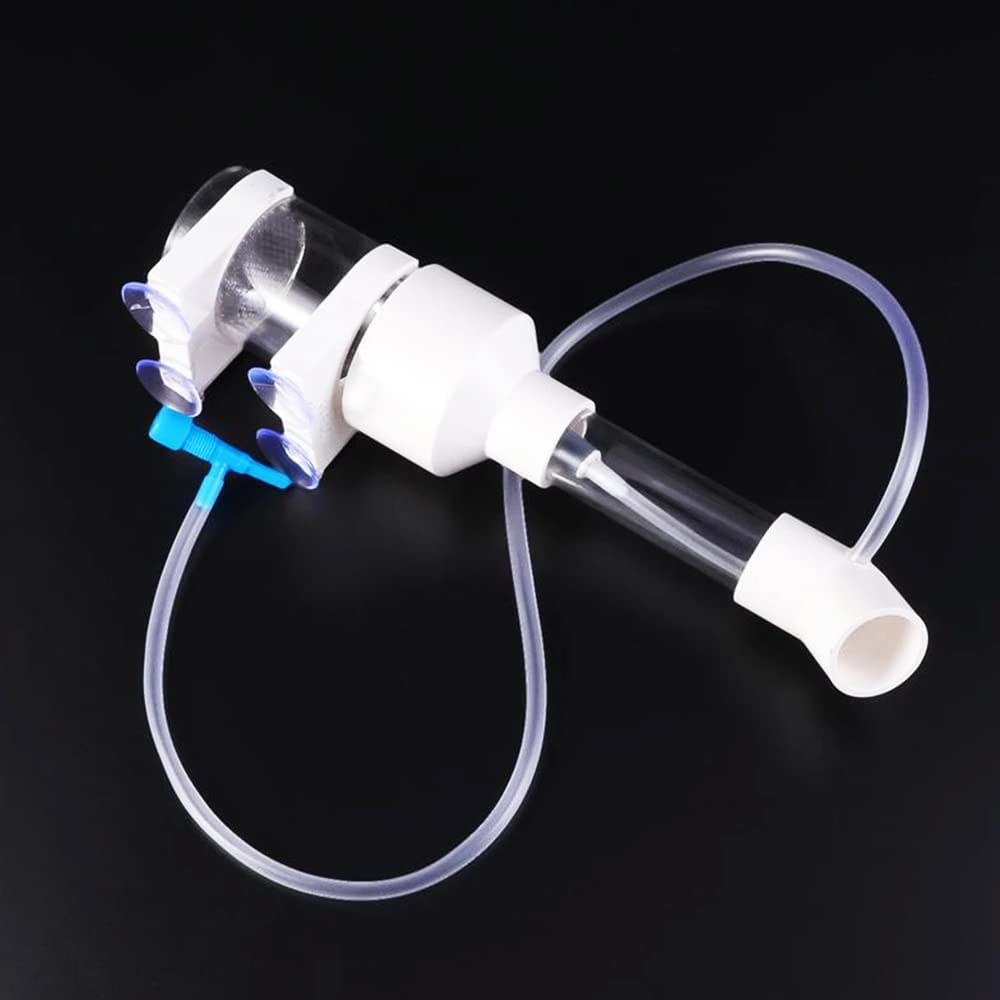Incubateur d'œuf de poisson pour bébé - 50 mm - Pour aquarium, cichlidé, aquarium