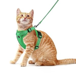 Rttochfy Cat Harness and Leash Set, Adjustable and Reflective Cat Vest, Escape Proof Kitten Harness, Easy to Put on with 3 Buckles for Cats Walking and Traveling (Green, M)
