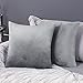 Deconovo Lot de 2 Taie d'oreiller en Velours Housse de Coussin 45x45cm Gris Housse pour Coussin de Canapé