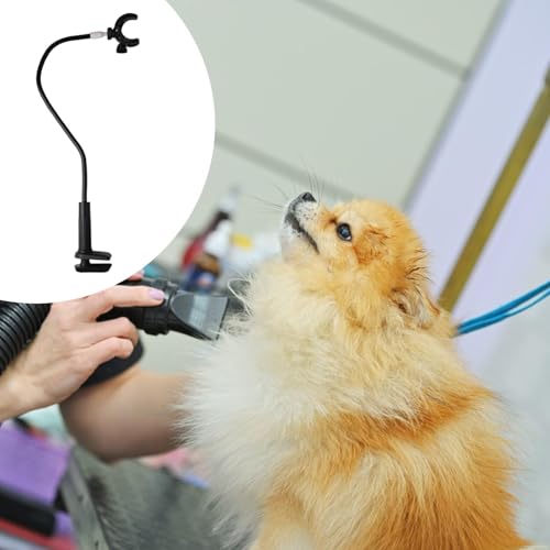 Support de séchage pour chien et table de toilettage chat domestique