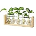 Mkono Plant Terrarium with Wooden Stand, Wall Hanging Glass Planter Tabletop Propagation Station Bulb Vase Metal Swivel Holder Retro Rack with 3 Bud Bottle for Hydroponics Plants Home Office Decor