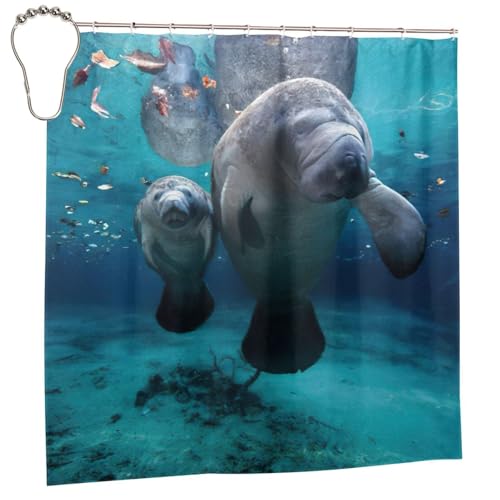 Rideau de douche en polyester durable avec 12 œillets inox - 3