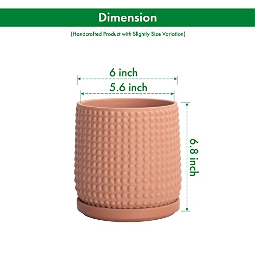 D'vine Dev 6 Inch Terracotta Beaded Planter Pot - Flower Pot With Drainage Hole And Saucer For Indoor Succulent Plants Or Flowers, Terracotta, 27-N-B-T-M #TOP2