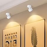 Budbuddy 12 W LED Reflektory sufitowe obrotowe obrotowe sufitowe białe oświetlenie punktowe Nowoczesne wewnętrzne do przedpokoju, salonu, sklepu biurowego i nie tylko