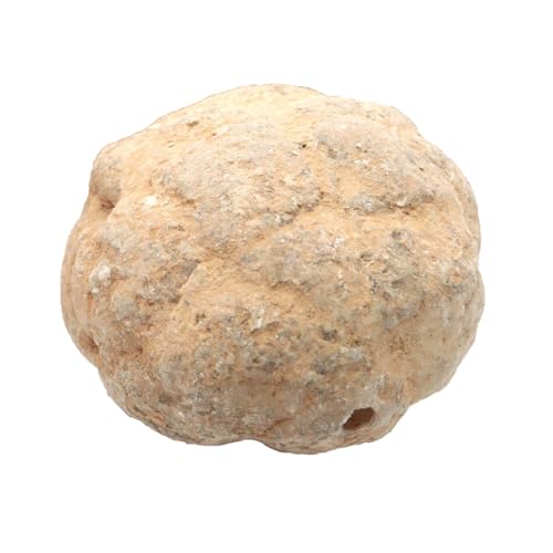 自ら作った石です Amazon.co.jp: 水晶 カルサイト 割れていない ジオード 晶洞 原石