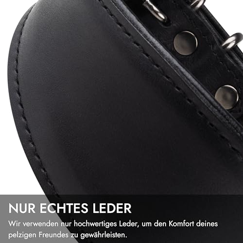 FAVPET Echtleder Windhund Halsband mit QR Code Anhänger, Weiches Lederhalsband Hund Breit Whippet Italienisches Windspiel Saluki Lurcher Spanischer Galgo Greyhound Podenco, Hundehalsband Leder (XS)