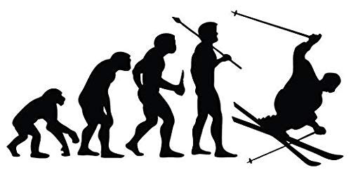 Skiing Evolution Sticker for Auto, Wall, Laptop, Truck