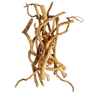 emours bois flotté naturel de 20 à 40 cm pour terrarium