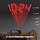 Radiowecker mit Projektion, Projektionswecker für Schlafzimmer, Typ C & USB-Anschluss, Wochentag/Wochenende, Projektionsuhr DST Dimmer/Temperatur/Datumsanzeige, Wecker Digital für Nachttisch Büro