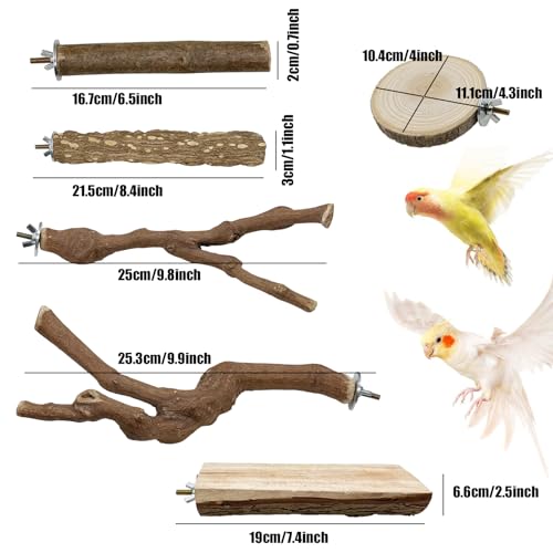 Image of 9 PCS Natural Wood Bird Perches for Parrot, Natural Wooden Perch Bird Stand Parrot Perch Stand Bird Climbing Standing Branches Toy for Birds Budgies Cockatiels Conure Lovebirds