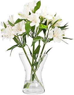 TREND FOR HOME Glass Vases for Flowers Clear Glass Vase Glass Flower Vase Transparent Vase Decorations for Living Room Clear Floral Vase | 19 cm Tall | Aster | 1325 ml