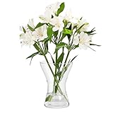 Eine tolle Geschenkidee: Die Vase Aster besteht aus transparentem Glas. Seine universelle Größe und Form machen es zu einer perfekten Ergänzung für jedes Interieur. Dadurch ist es eine perfekte Geschenkidee