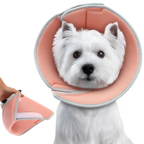 Comfy Cone for Dogs The 15 best products compared Wild Explained