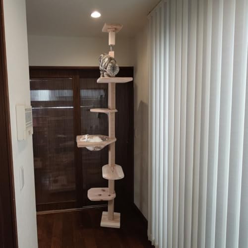 建築家考案で画期的!!【ねこハウスシリーズ 国産杉と桧 キャットタワー 天井突っ張り天井高260cmまで TYPE1WSA アクリルボール ブラケット1本柱用付き 猫ちゃんの快適 遊び場空間を自由自在にカスタマイズ 増設 組替できる 天然木製 キャットタ