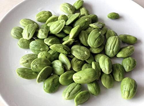 Frozen Petai (Frozen Sator) - 16oz (Pack of 1)