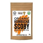 5L Organic Kombucha SCOBY