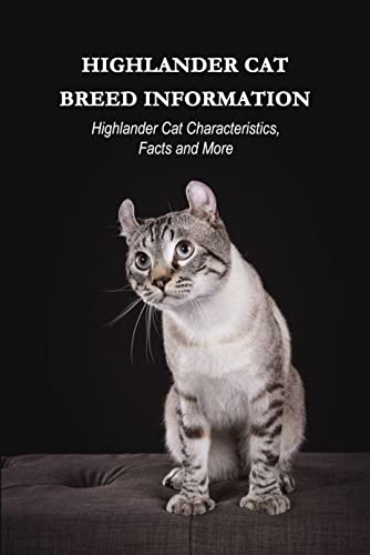 Highlander Cat Breed Information: Highlander Cat Characteristics, Facts and More: Highlander Cat