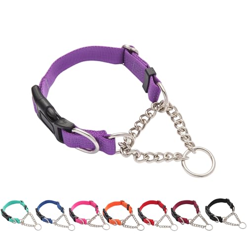 Yunleparks Martingale Dog Collar with Quick Release Buckle Steel Chain No Pull Training Reflective Collar for Medium Large Dogs(Purple, Large)