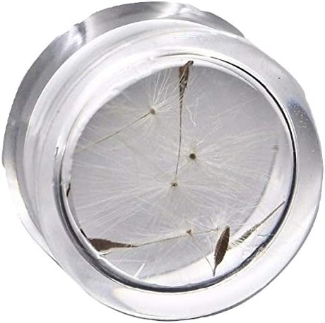 Pierced Republic Dandelion Seed & Sprout Ear Plugs - Real Seeds! - Double Flare Saddle - 8 Sizes - Pair - New