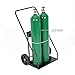 LALFPET Heavy Duty Dual Welding Cylinder Cart – 440 lb Capacity, Rolling Oxygen Acetylene Gas Cylinder Trolley – 8