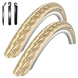 2 x Schwalbe Delta Cruiser 28