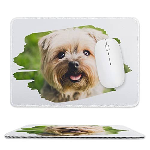 JX^ ʐ^ǉ Ǝ̏c摜쐬 킢GbWXeb`ꂽ}EXpbh eNX`}EXpbhAVRSx[X̃}EXpbhA2̃TCỸ}EXpbhAItBXAAbvgbv̗sɓKĂ܂