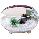 GEBYUI リビング用小型円形透明ガラス金魚水槽 三耳加厚構造｜高硼珪酸・非粘着内壁 金魚・メダカ飼育・小型亀缸兼用 卓上用水培植物容器 円柱型水槽 家庭用観賞魚容器詳細 ​