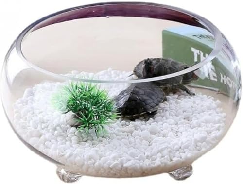 AOBOPO 金魚鉢 ガラス 丸 テラリウム透明なの水槽。 リビングルーム小型家庭用デスクトップ水耕栽培金魚鉢 円柱 スリーキャッチ肥厚、円形透明ガラス金魚水槽