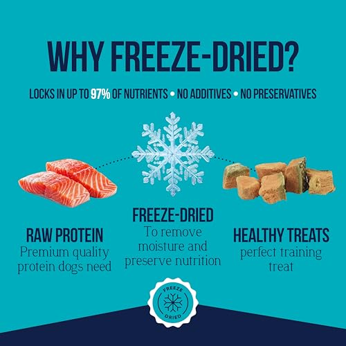 Stewart Freeze Dried Wild Salmon Treats for Dogs, 1 Can, 2.75 oz