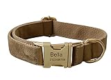 Dog Collar Custom Personalized Engraved Name and Phone Number for Puppy Small Medium Large Pets (M,