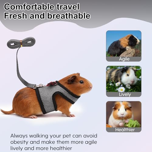 Image of Guinea Pig Harness and Leash，2packs Guinea Pig Clothes Baby Ferret Rats Hamster Soft Mesh Harness Leash for Decoration，Hamster Harness can be Adjusted to Any Size. (Red + Grey)