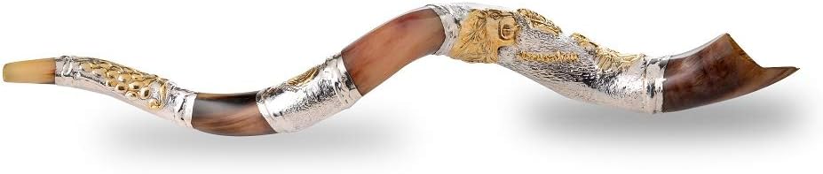 Shofar from Israel Polish Polished Silver Plated Set Kudu Horn Yemenite Lion Of Judah + Bag + Spray + Guide + Carrying Box Case (30"-32") : Musical Instruments