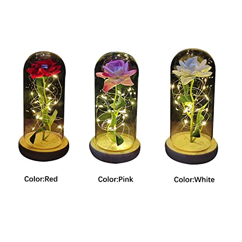 ZWMBYN Presentes de Dia dos Namorados Rosa A Bela e a Fera para ela, Acenda para sempre Galaxy Rose