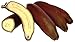 Musa Itinerans - Burmese Blue Banana - Tropical Tree Seeds (10)