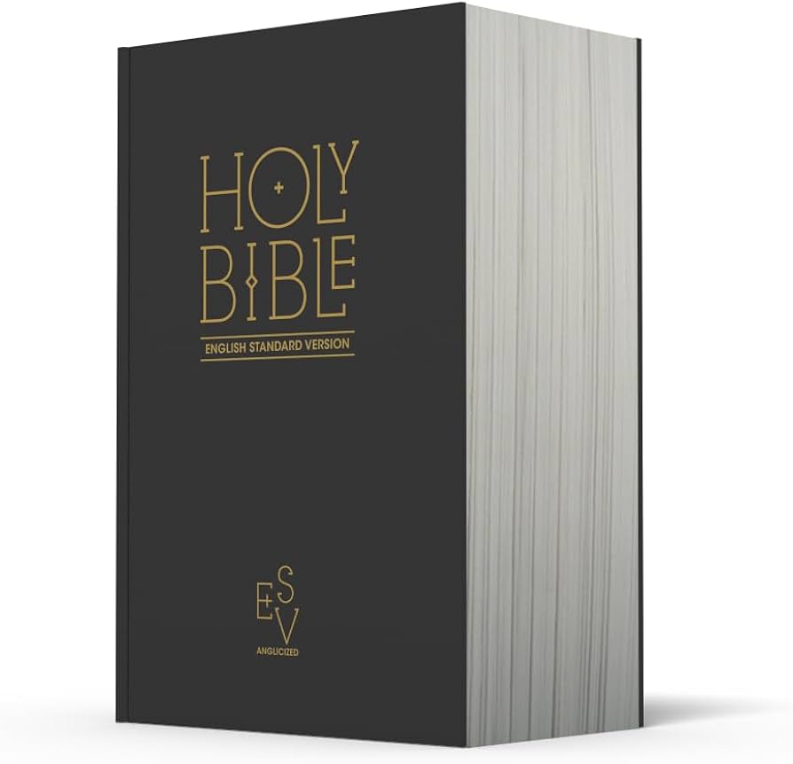 Holy Bible: English Standard Version (ESV) Anglicised Black Gift