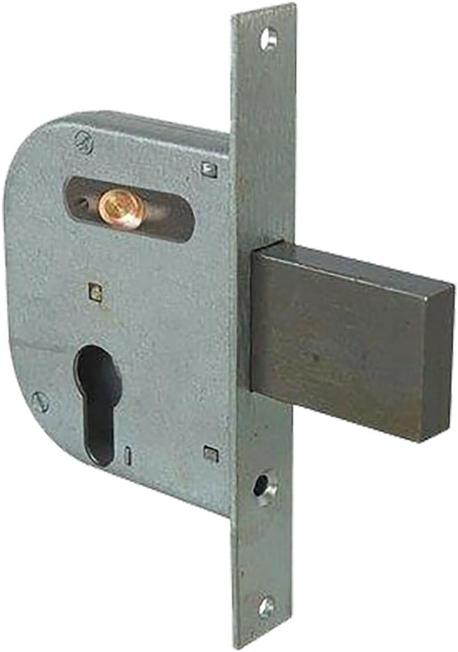 Cisa 65073 42032-50-0 Gate Lock Cylinder Shaped