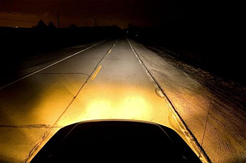 Putco 230100Jy Pure Halogen Headlight Bulb - Jet Yellow - H1 (Pair) #TOP1