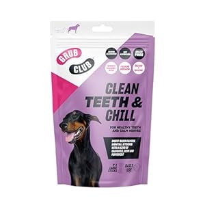 Grub Club Large Insect Dental Sticks 7 Stück