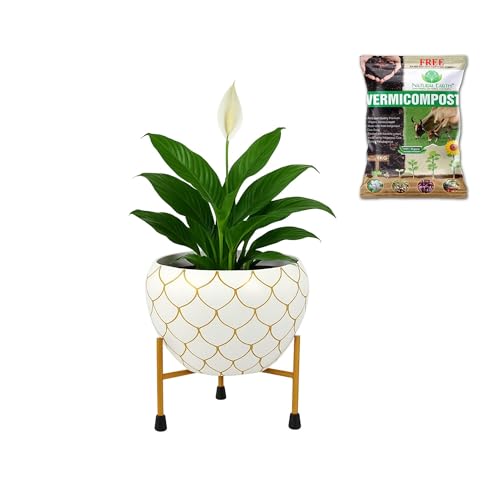 Image of Natural Earth Metal Flower Vase Planter Pot with Iron Stand | Decorative Plant Cachepot for Indoor & Outdoor Use | Succulent Pot for Home & Garden Decor (White Gold Nest)