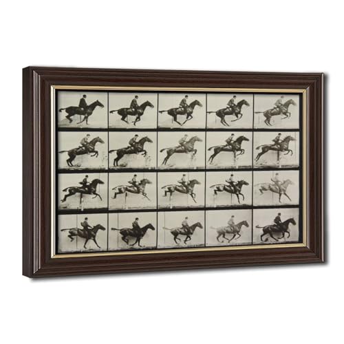 Toile cheval sautant Muybridge pour décoration salon vintage
