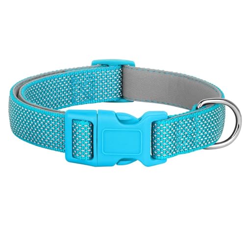 ߉\ȃiCOˌSg[jOփv[hČViEU[uh[p,,m