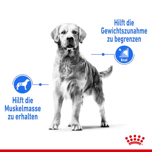 ROYAL CANIN Light Weight Care Maxi Trockennahrung für Hunde – 12 kg