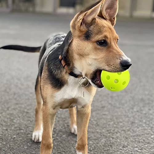 20 Pack Baseball Practice Balls - Soft Training Baseballs For Batting Hitting Pitching - Hollow Airflow Softball - Limited Flight Lightweight Mini Ball For Indoor & Outdoor Sport 9 Inches 26 Holes #TOP5